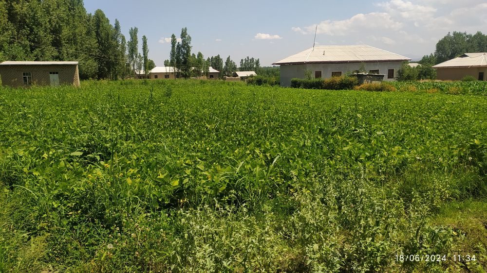 16 sotix yer sotiladi 1 xona uychasi ham bor, yangi maxalla suv, svet