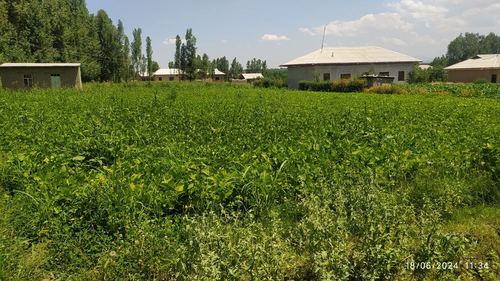 16 sotix yer sotiladi 1 xona uychasi ham bor, yangi maxalla suv, svet