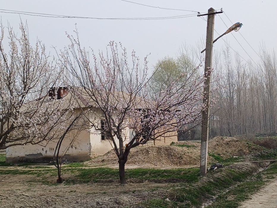 Yer uchastka sotiladi! Samarqand vil., Bulung‘ur tum., Niyozmat MFY