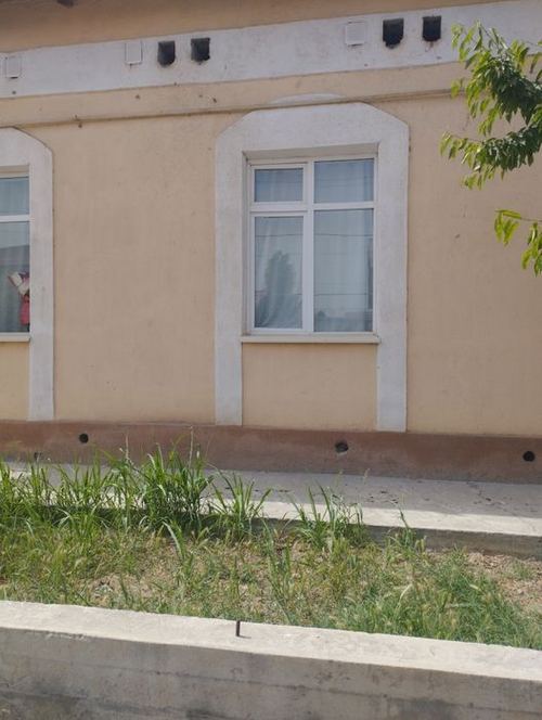 5-room cottage, 6000 m²