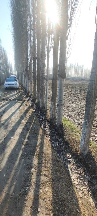 2-room house part, 40 m²