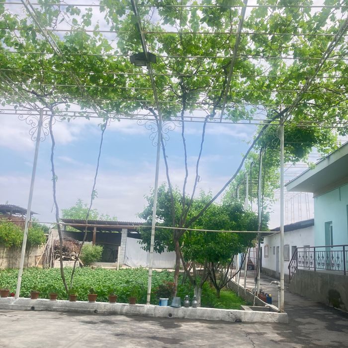 7-xonali uy, 150 m², Farg‘ona, sotuvga