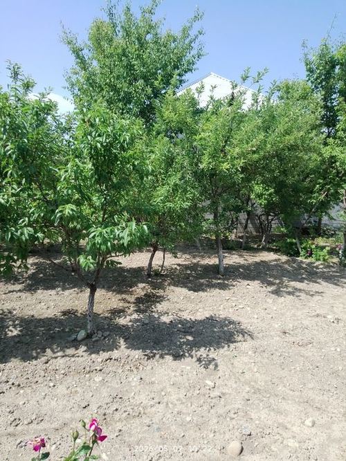 Fargona shaxar Beshbolada 3  so tix er sotiladi