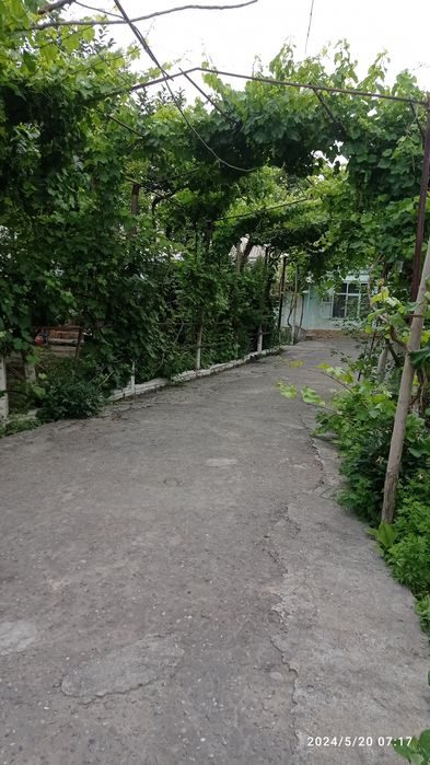 7-xonali uy, 150 m², Farg‘ona, sotuvga