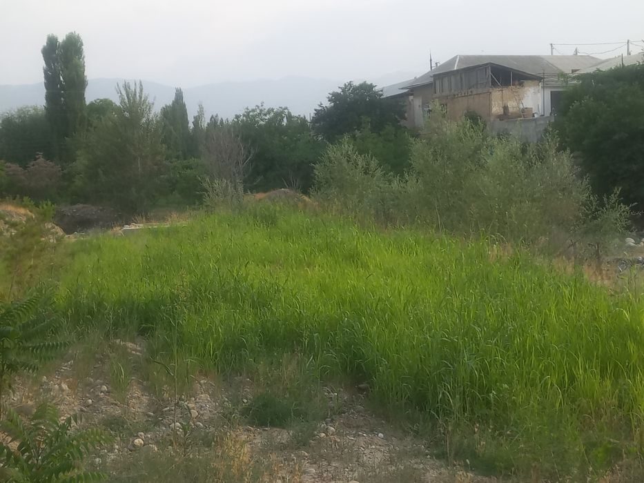 Soy boyida dam olish maskani uchun joy sotiladi