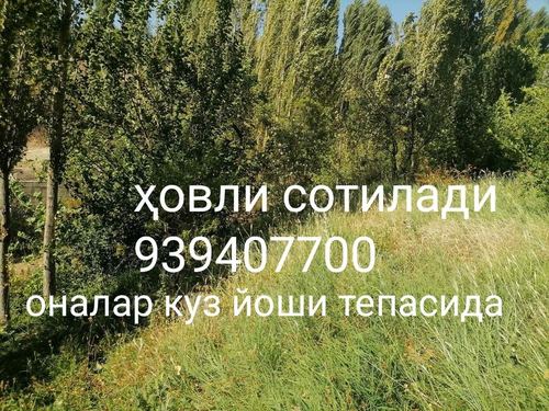 1-xonali dacha, 10000 m²