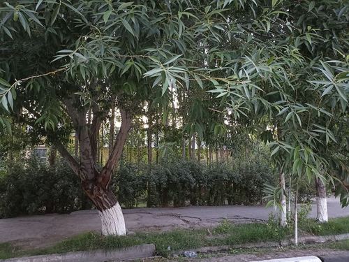 8-xonali uy, 1700 m²