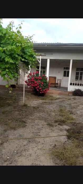 5-xonali uy, 600 m², Andijon, sotuvga