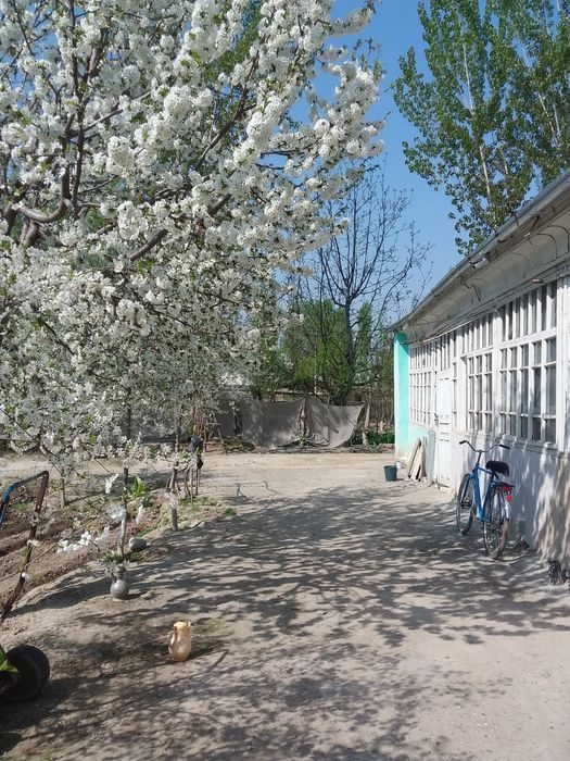 3-xonali uy, 1800 m², Хаккулабад, sotuvga