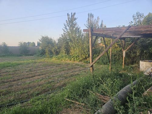 12 sotix atrofi qorgon dakumenti zor