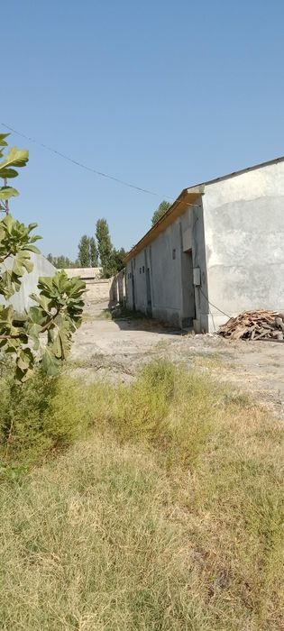 Sotiladi, bozor yaqin!