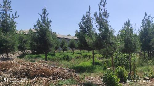 1-xonali uy qismi, 11 m²