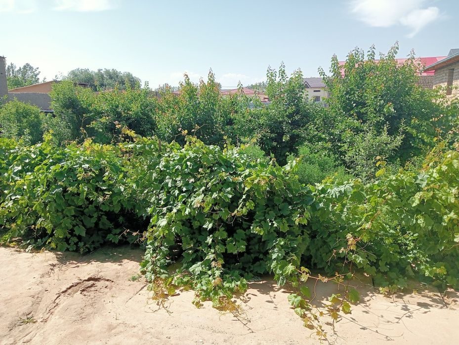 9-xonali uy, 10 m², Зарбдар, sotuvga