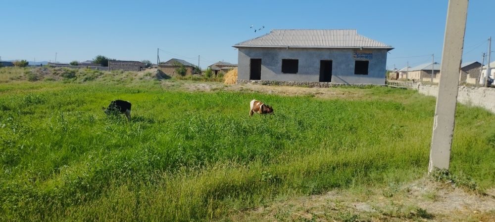 5-xonali dacha, 1200 m², Зафарабад, sotuvga
