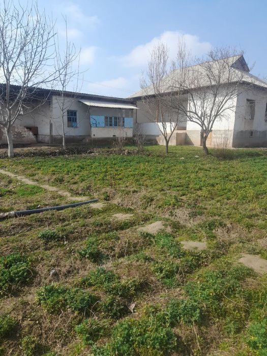 6-xonali uy, 10000 m², Шурчи, sotuvga