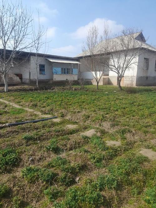 6-xonali uy qismi, 10000 m²