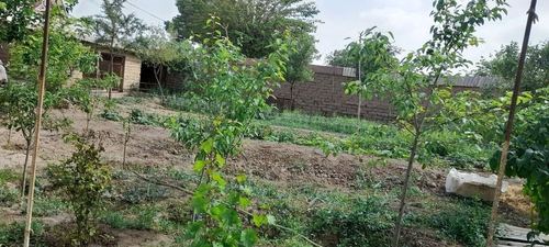 4-room house, 10 m²