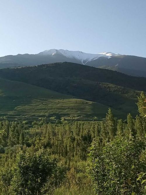 3-xonali uy, 70000 m²