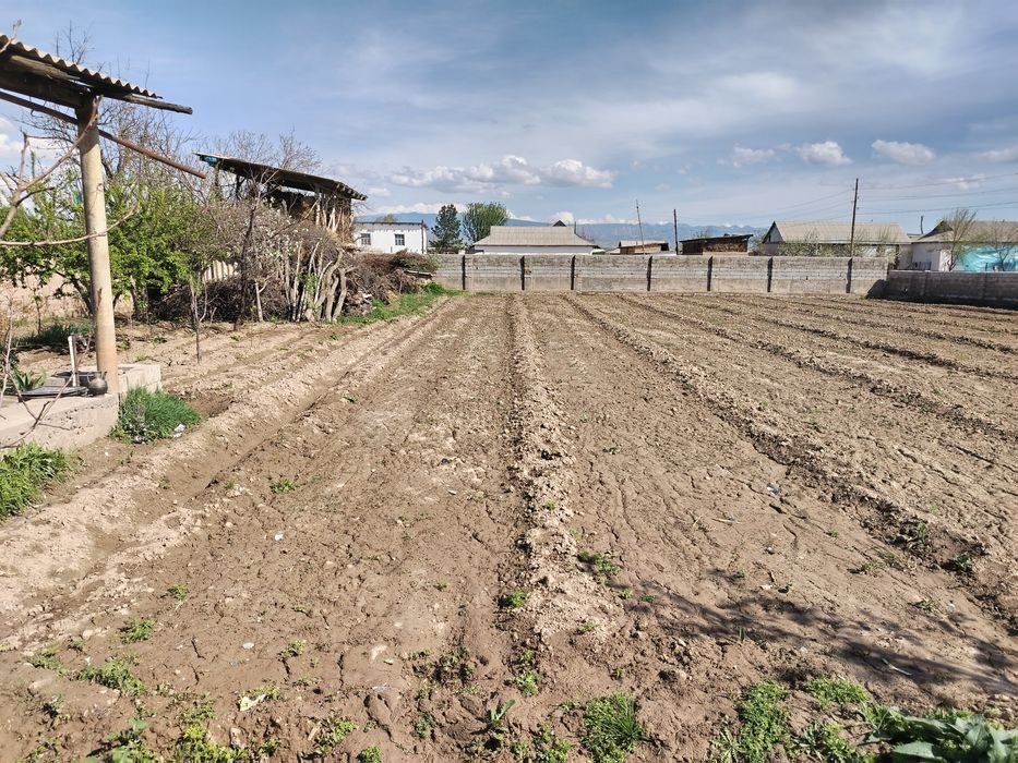 5-room house, 8000 m², Шурчи, for sale