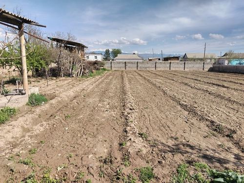 5-xonali uy, 8000 m²