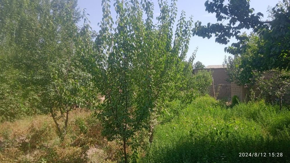 3-xonali dacha, 8 m², Бешкент, sotuvga