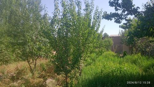 3-xonali dacha, 8 m²