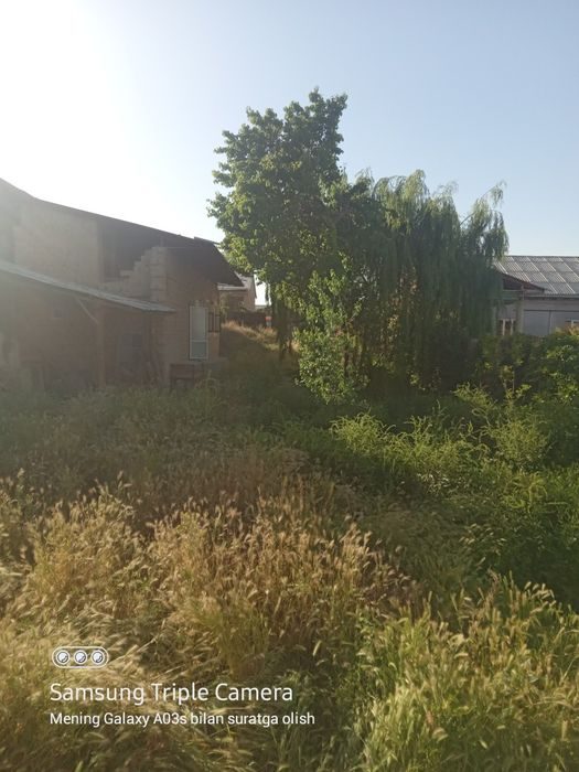 Jizzax Sh.Rashidov tuman. Uch tepa daxasi Yangi hayot maxallasi