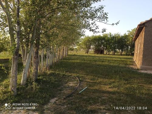 5-room house, 80 m²