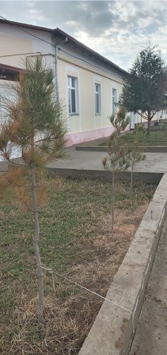 6-xonali kottej, 219.63 m²