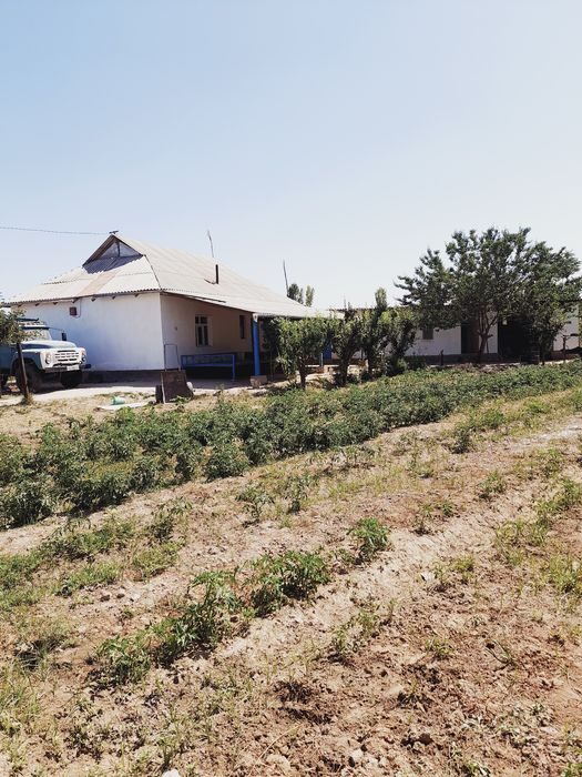 7-xonali uy, 3000 m², Cырдарья, sotuvga