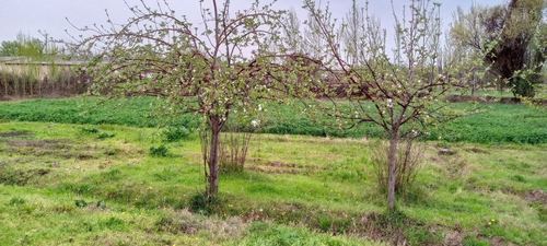 1-комнатный дом, 10 м²
