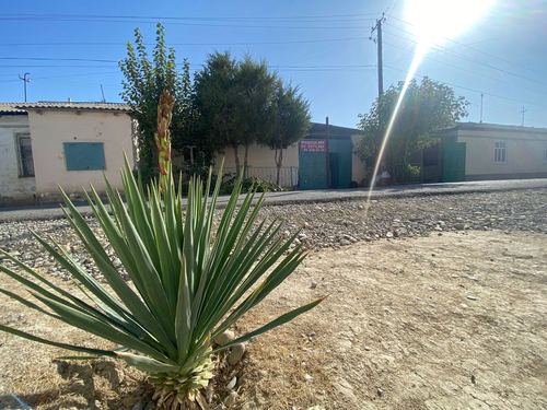 7-room cottage, 169 m²