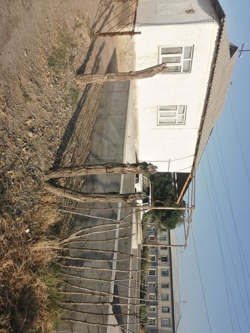 4-комнатная дача, 1100 м²