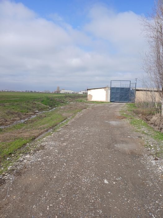 Ferma sotiladi tayyor biznes uchun