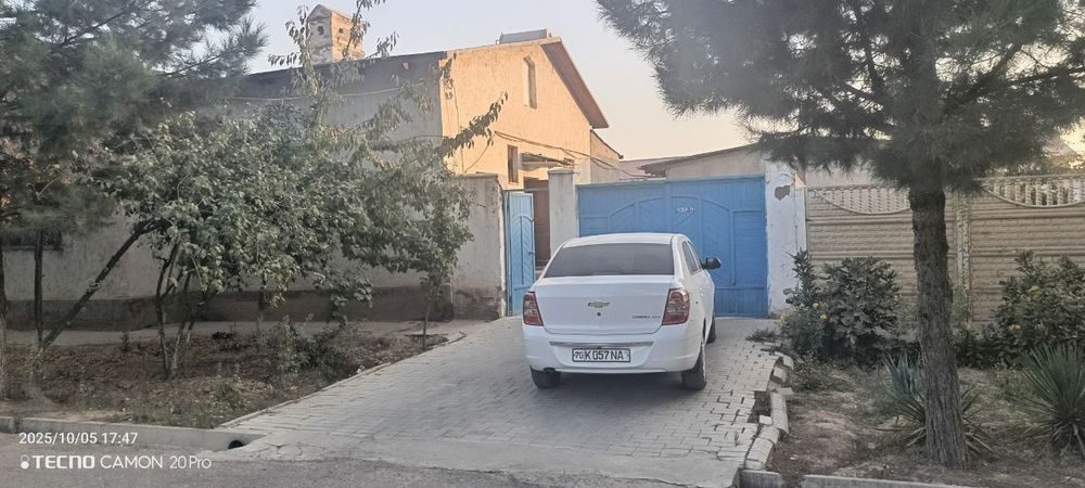 6 sotihli Kotej sotiladi