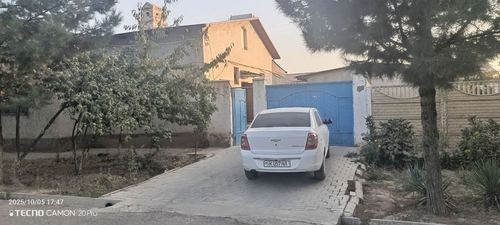 6 sotihli Kotej sotiladi