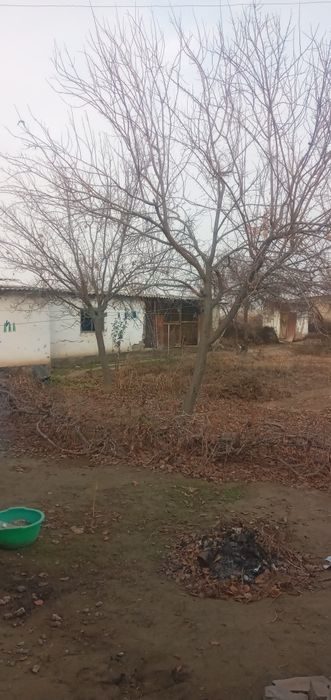 6-room cottage, 8000 m², Gulistan, for sale