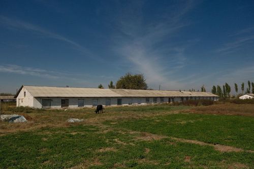 Продается ферма на территории 2,74 га. Гулистан, Улугобод