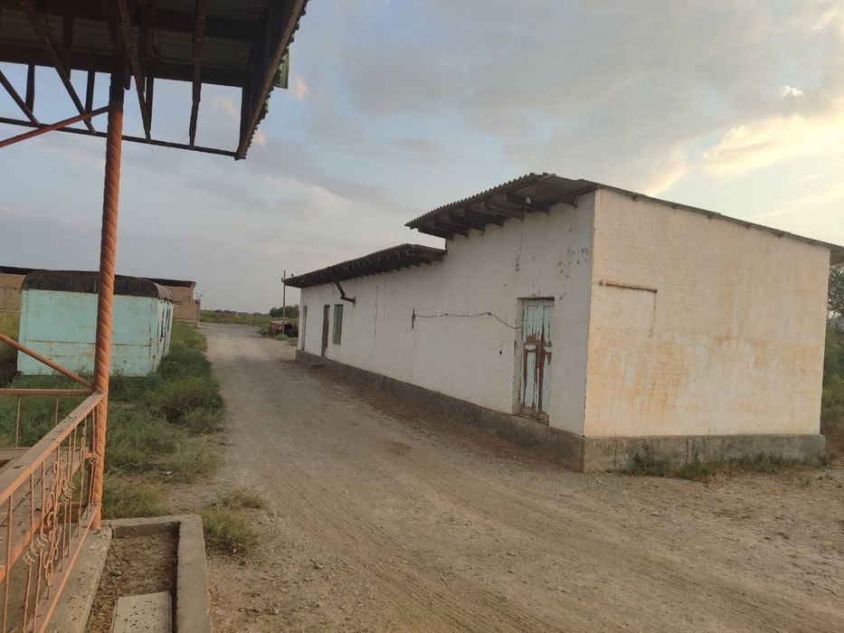 Sirdaryo viloyat, Boyovut tumani, Gulistondan 4 km