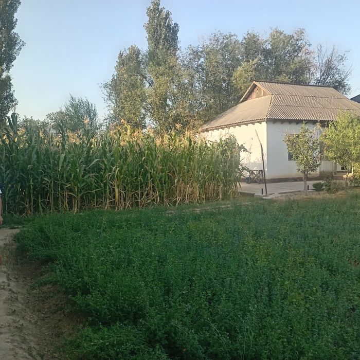 5-room house part, 200 m², Gulistan, for sale