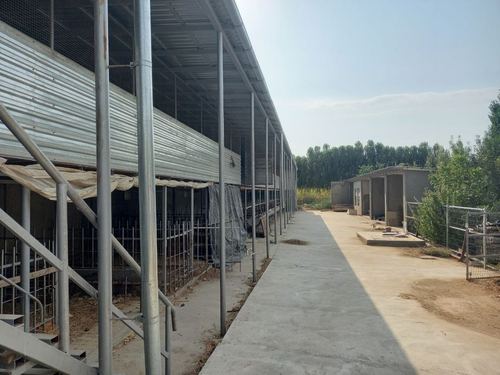 Чорва комплекс сотилади. Курилиш материаллари факат темирдан курилган