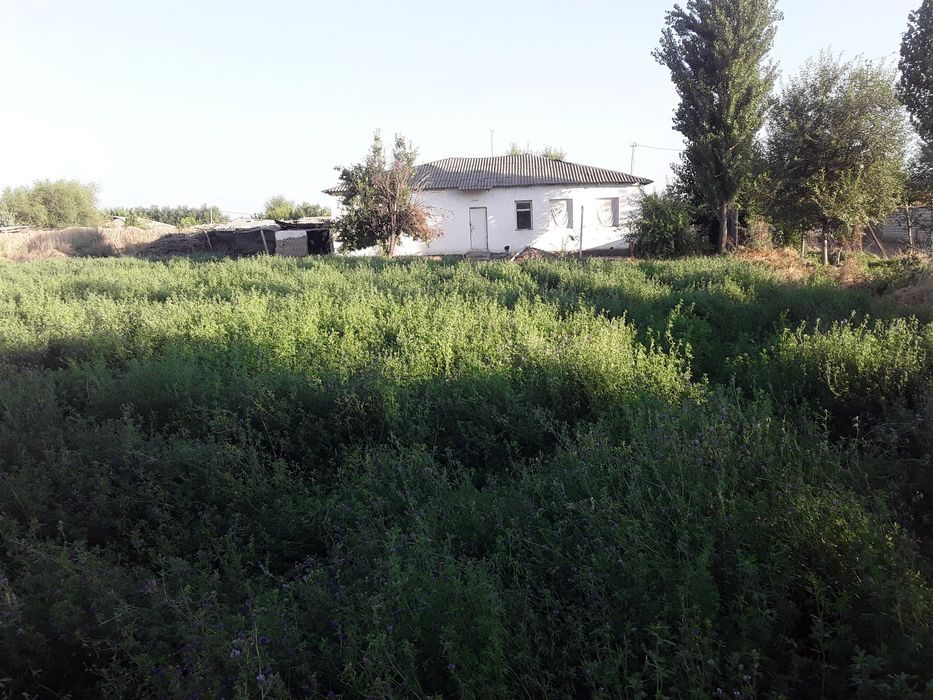 5-xonali uy, 370 m², Сайхун, sotuvga