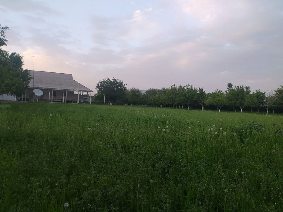 5-room dacha, 3500 m², Сайхун, for sale