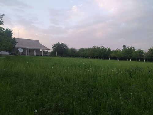 5-xonali dacha, 3500 m²