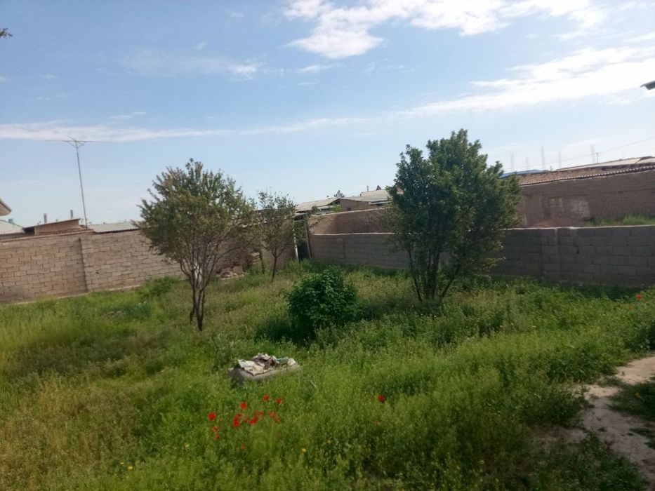 Tez kunda yer sotiladi