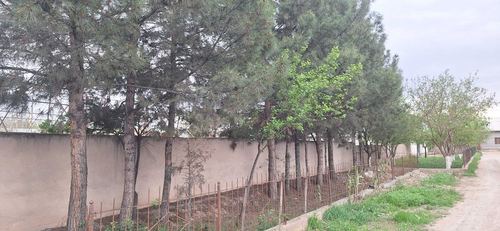 Hovli uchun yer Mirmiron mahalladan