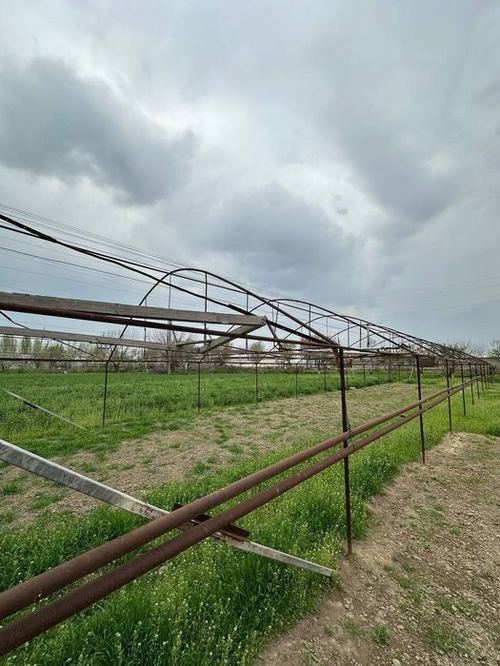 Срочно продается земля Сирдаря-Малек садогород