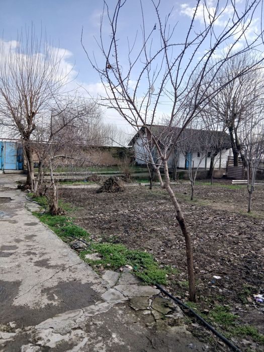 Продаётся 7 соток участок в Бахте