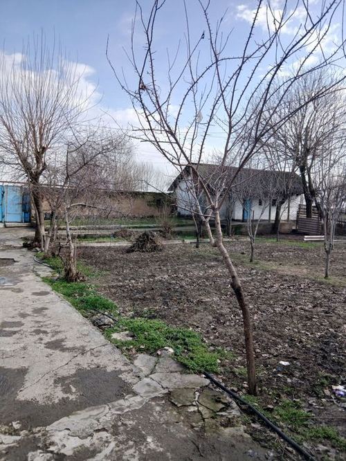 Продаётся 7 соток участок в Бахте