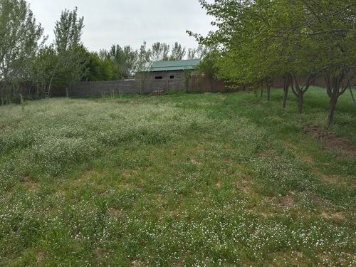 Ер майдони сотилади 6 sutixdan10 sutix gacha  er maydoni bor